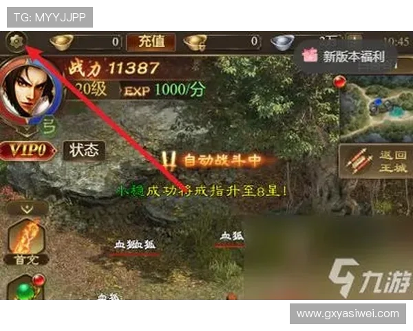 适合玩游戏且网络稳定的高性能手机推荐全指南